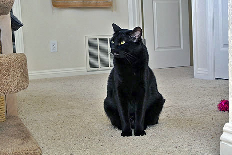 One day little 'Miss Princess"...one day...