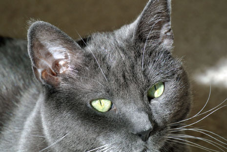 Look into my eyes Mom and see how much I trust you