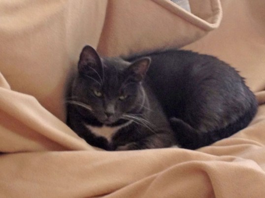 If I need your help TKS, I'll let ya know