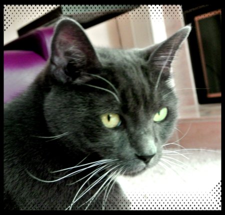 Can you see what I have to deal with?