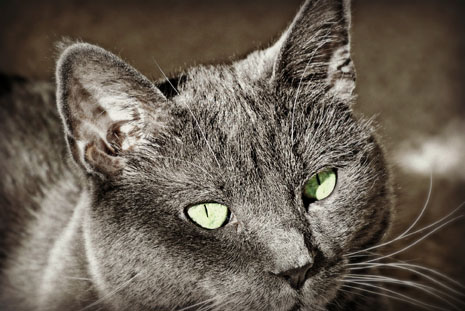 Do I look different now?