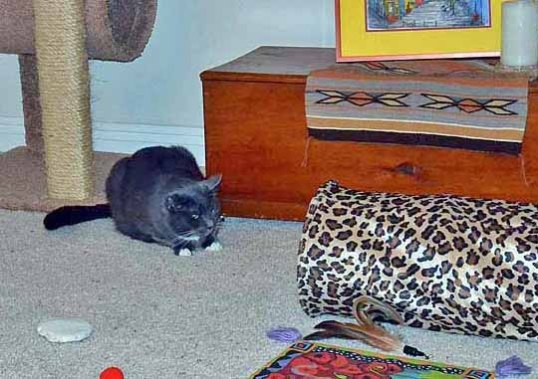 Are you crazy? I know you are in there