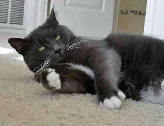 Feather, I knew where you were at all times. You are officially dedded.