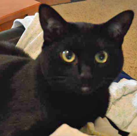 Hiya Mom L...luvluvluv ya...really I do...