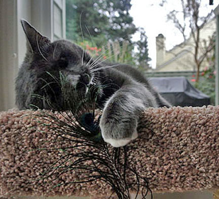 Ms Feather is goin' wild! 