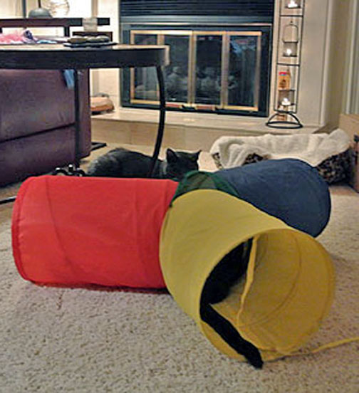 ummm....ya know I 'know' you are in there...right???!!