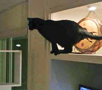 This looks pretty doable I think...