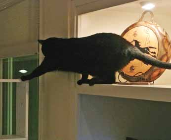 Great! Easy reach...no problem