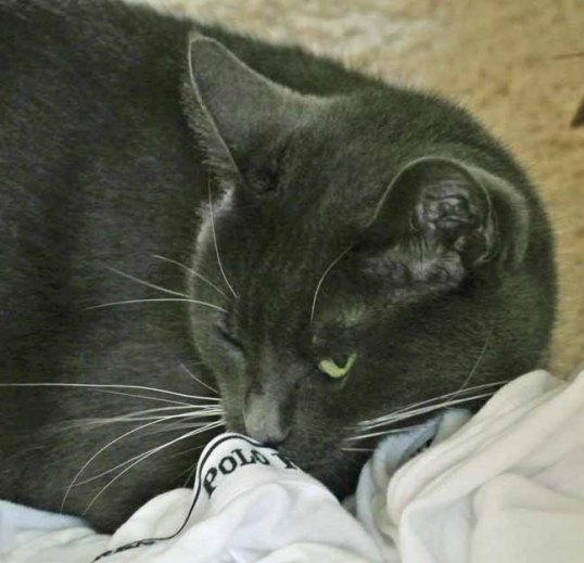 ahhh...the aroma, the heady smell of Dad P