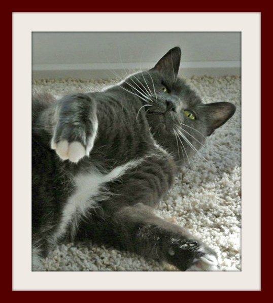 Do I smell chik-hen??