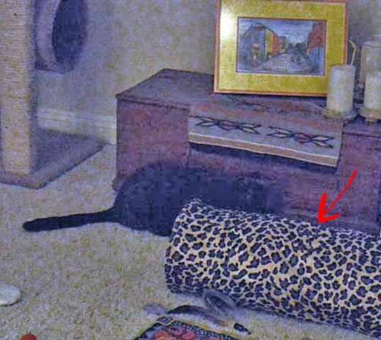 I can see you through the port hole