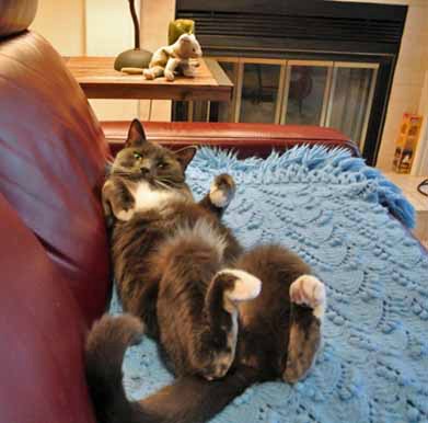 What'cha lookin' at Mom?