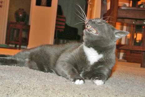 NOOOOO!!! What will my pals think of me????