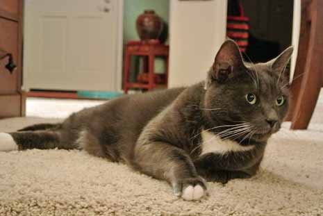 What Mom L? Didn't quite catch what ya said...