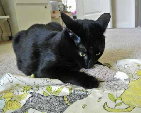 FOR ME!!! MINE MINE MINE