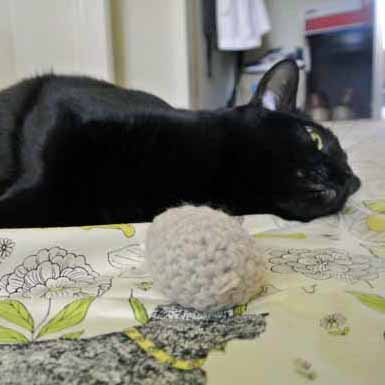 ahhh...bliss, sweet bliss...