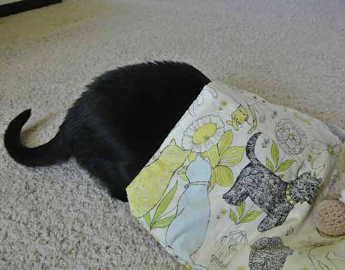 What's under here? Can I wear this???