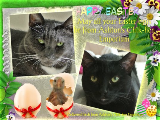 Easter 2015 card