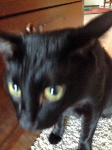 Come on Mom L. I don't want to do this