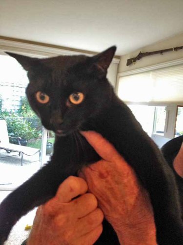 Ok, ok, don't squeeze me so tight Dad P