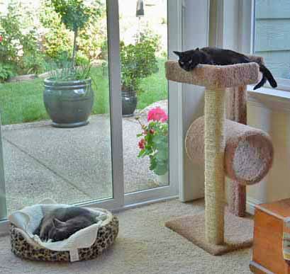 I so hope one day I can win her trust