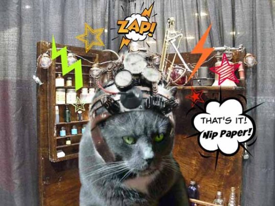 savvy eureka 02 final final