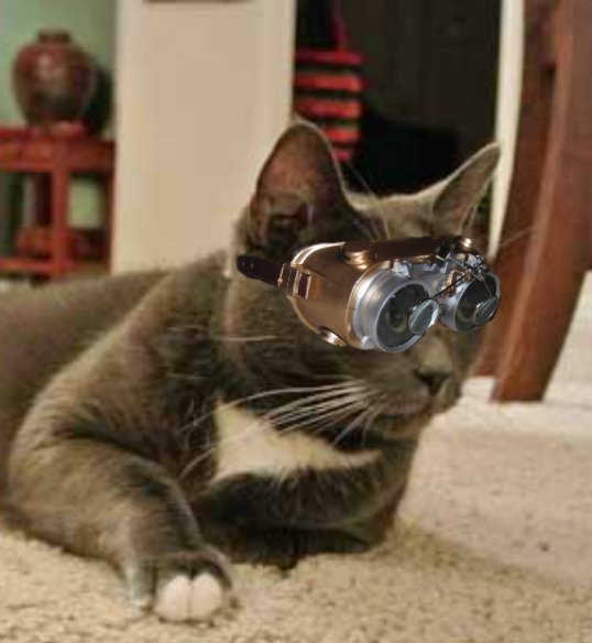 Oh My Cat!!! This is gonna be sooooo great!