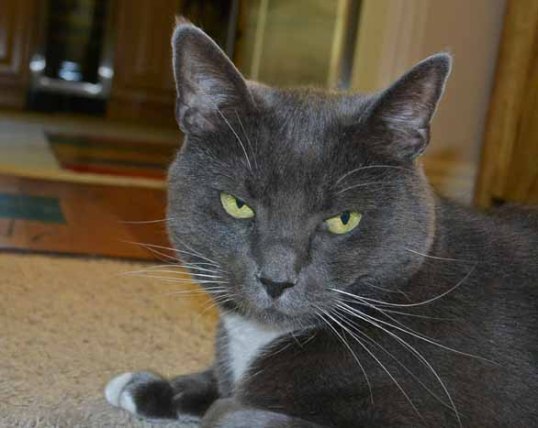 I have to hand it to TKS...she's a champion of determination