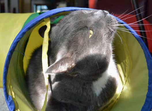 Mine, mine, mine...got it??