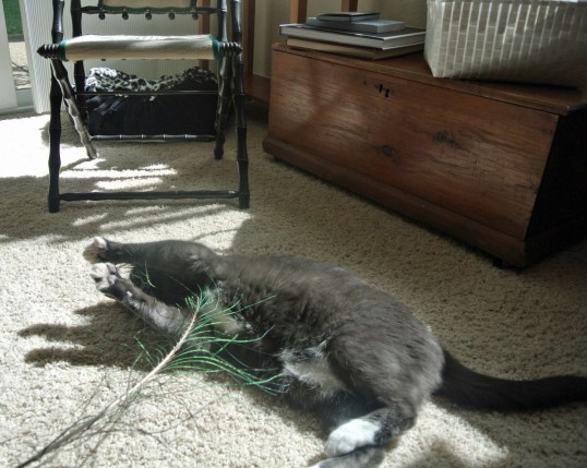 *giggle giggle* Stop it Mom! You're killin' me