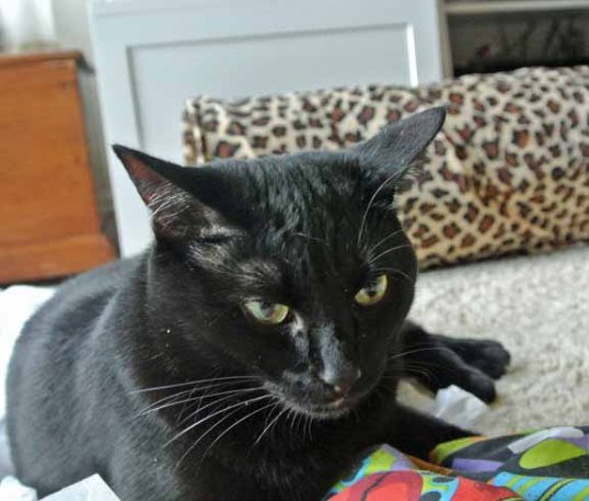 I can't take this much longer