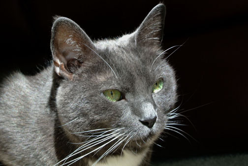 DSC_6934 ed2 RESIZED