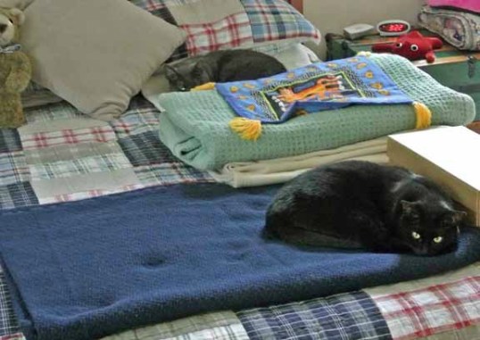 I feel EYES on me...