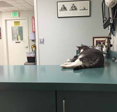 I'm busy here; have a seat.