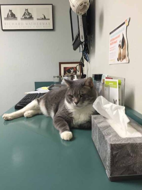 Watch your hind end kid...heh...heh