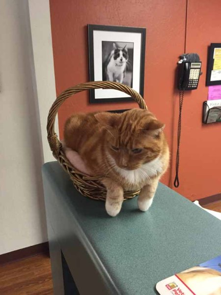 Come back later. It's my break time