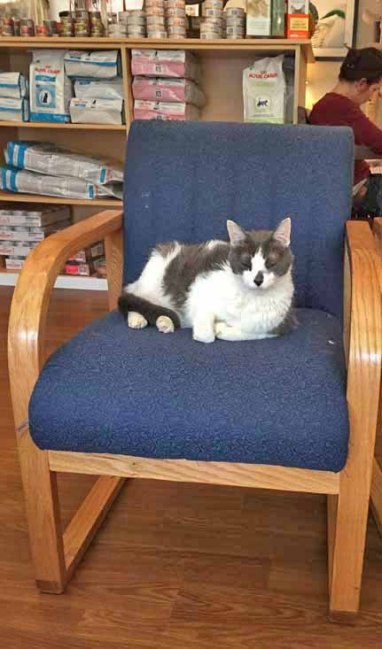 You're going now? Nice!