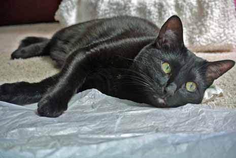 I am totally chill'ax'd