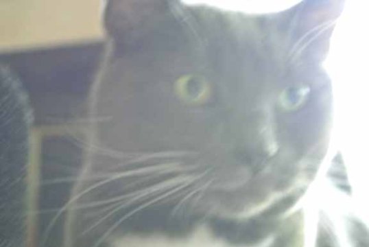 Ummm...Mom L? Do I look blurry to you?