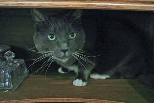 What? You don't trust me in here?