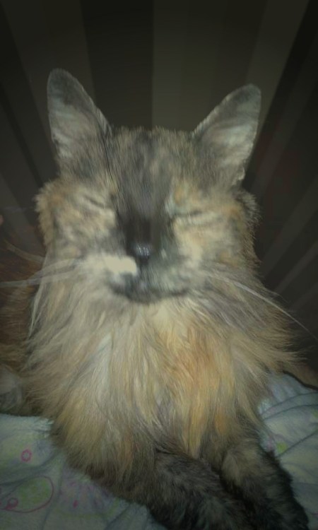 My work here is complete