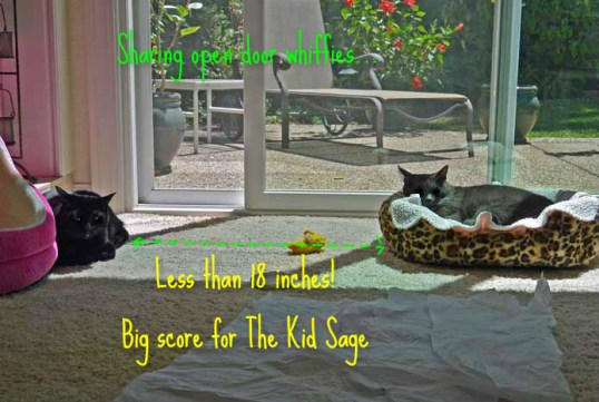 Did she notice me???