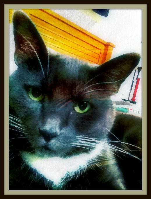 What?? This is my YODA look...my ear are NOT big!