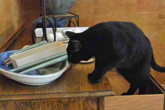 These go in the top drawer Mom