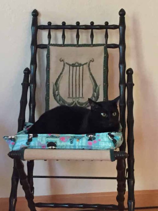 This is MY PLACE...just so you know HRH Savannah!