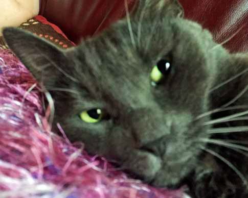 I cannot believe you just did that!