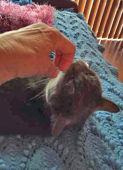 Huh? Oh, you need me closer...hang on...I'll move