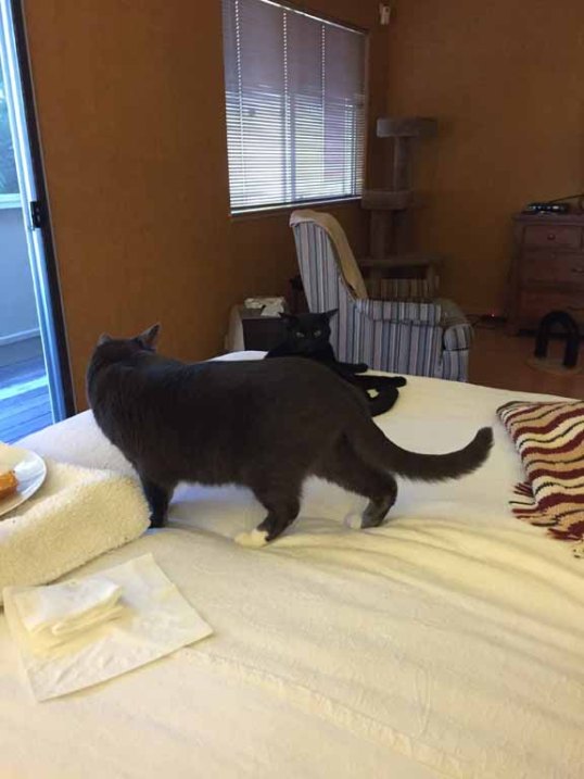 Hey TKS, you still have my back! Thanks