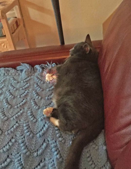 The 'PAW' power is ready at all times