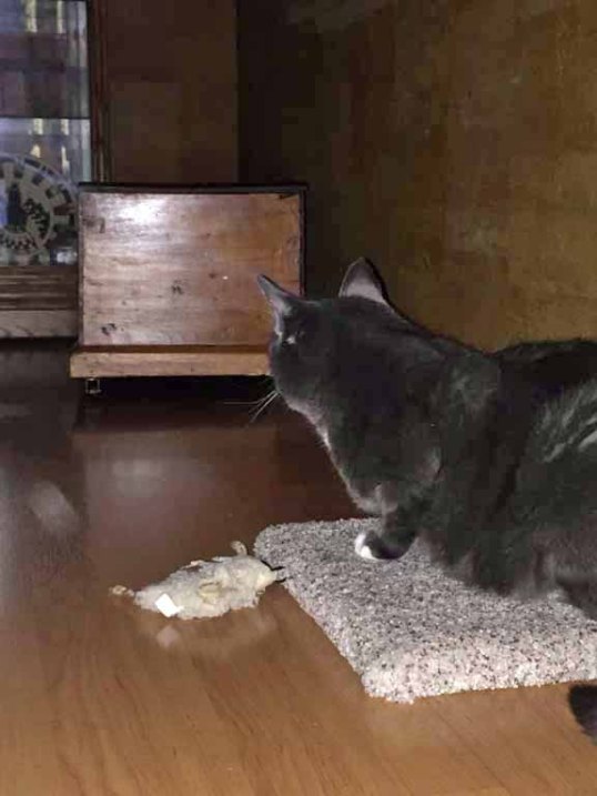 Ok, 3 feet to the right...